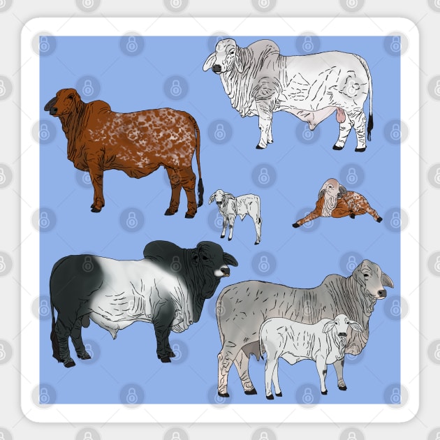 Brahman Cattle Blue Sticker by TrapperWeasel